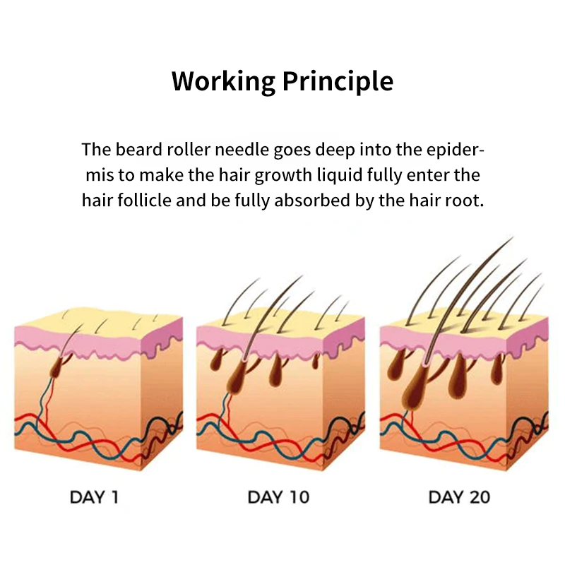 Beard Growth Liquid Beard Care Set The Beard Growth Kit