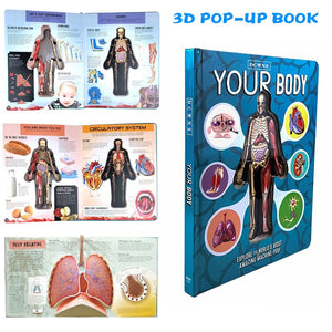 Anatomy of The Human Body 3D Picture Book
