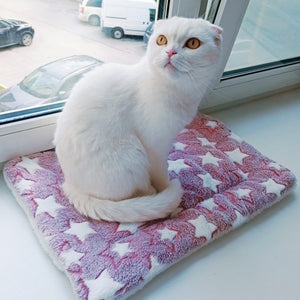 Pet Soft Fleece Blanket