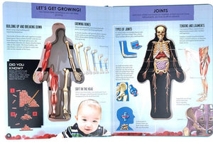 Anatomy of The Human Body 3D Picture Book