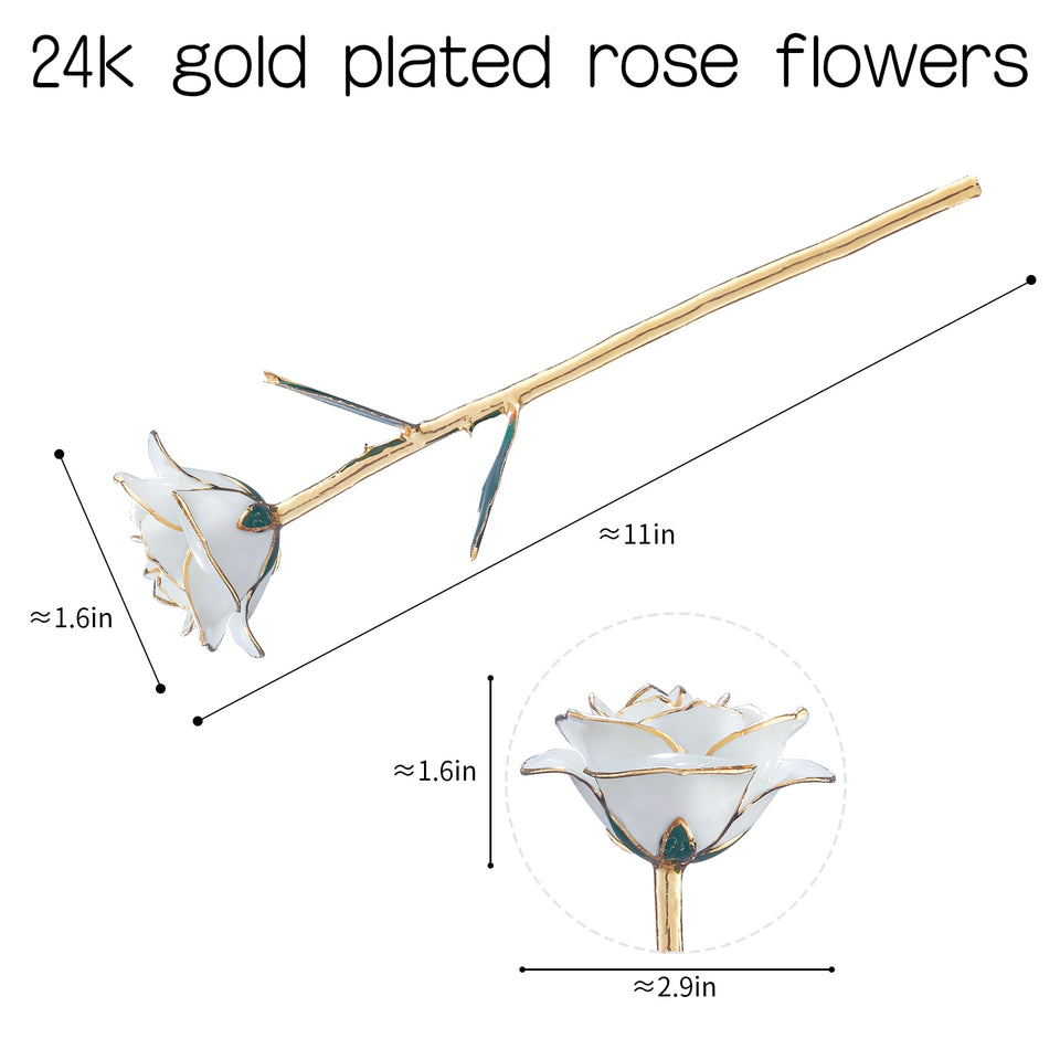 24k Gold Dipped Rose