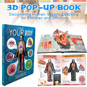 Anatomy of The Human Body 3D Picture Book