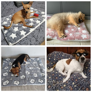 Pet Soft Fleece Blanket