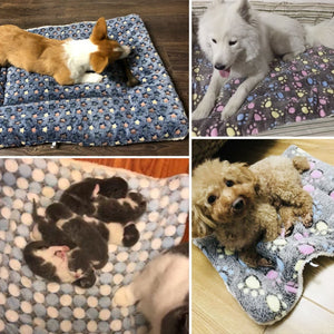 Pet Soft Fleece Blanket