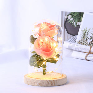 Romantic Immortal Flower Micro Landscape Rose Simulation Glass Shade Led Llight